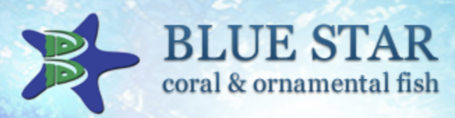 Blue Star Aquatics