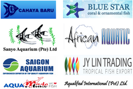 Partners WBC Aquatic
